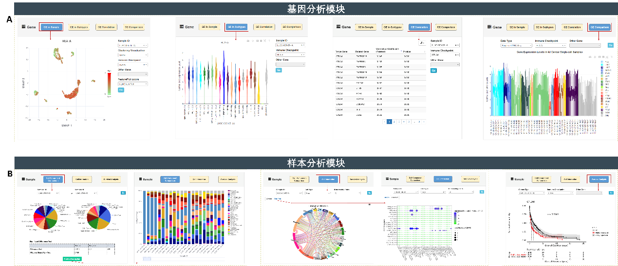 九游会·J9 - 国际官方网站 | 真人游戏第一品牌